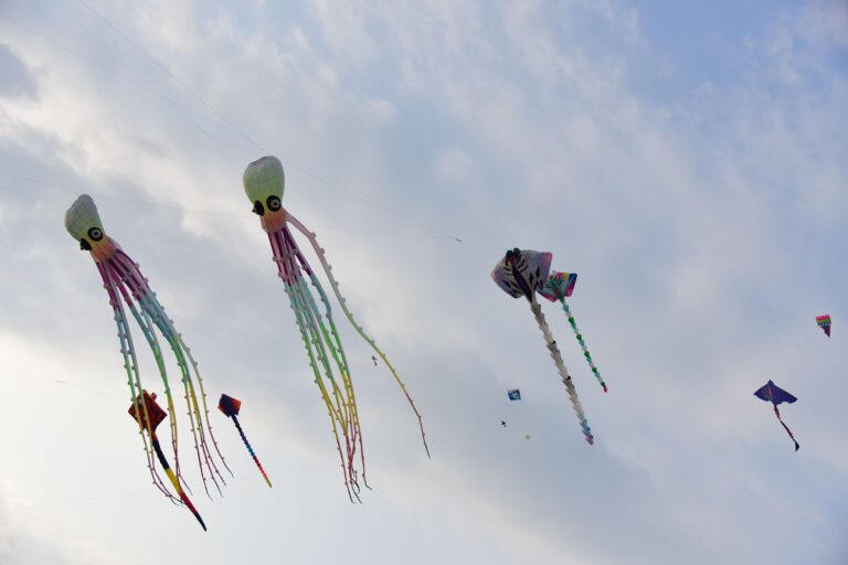 Washington State International Kite Festival
