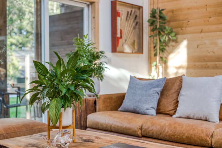 lewis-living-room-plants-leather-sofa.jpg